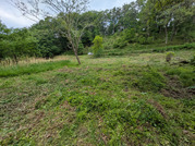 PXL_20260508_023939539