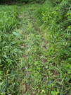 PXL_20260726_021221092