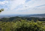 PXL_20260617_045658260