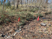 PXL_20260304_013239222