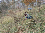 PXL_20260125_013046185