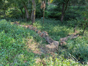 PXL_20260824_061723927