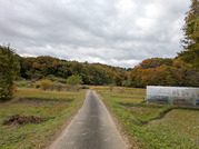 PXL_20251118_001125528