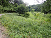 P6060064