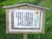 P4150103
