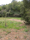 PXL_20260415_044600610