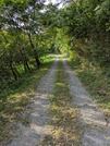 PXL_20260729_075929611