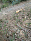 PXL_20260415_042733710