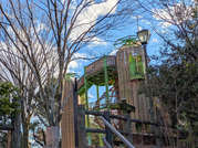 PXL_20260108_052653518