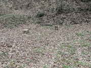 PXL_20260320_012122874