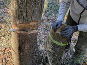 PXL_20260116_021007576