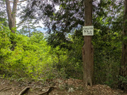 PXL_20260610_052844393