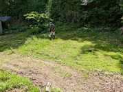PXL_20260529_005904289