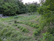 PXL_20260505_091624447