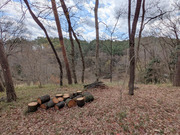 PXL_20260327_021038684