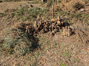 PXL_20251208_024739066