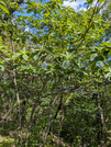 PXL_20260511_044732033