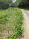 PXL_20260508_022416208