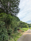 PXL_20260828_030100006