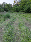 PXL_20260505_090914557