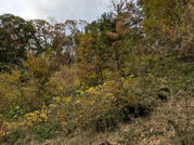 PXL_20251117_235641459