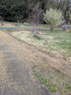 PXL_20260401_022647834