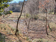 PXL_20260304_012509501