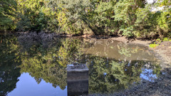 PXL_20251023_031723093