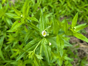 PXL_20260612_025928491
