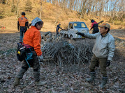 PXL_20260106_025044275