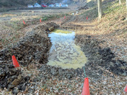 PXL_20260116_010501035