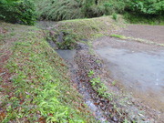 DSC09797