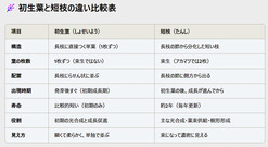 初生葉と短枝の違いの比較表