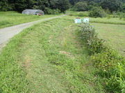 P9060021