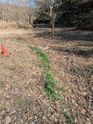 PXL_20260221_043341643