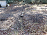 P3170043