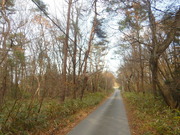DSCN1050