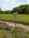 PXL_20260424_033527916