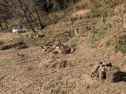 PXL_20251208_024806877