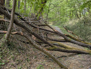 PXL_20260413_001926687