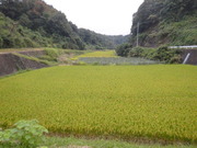 DSCN9646
