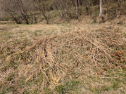 PXL_20260324_041934747