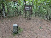 PXL_20260516_044915763