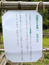 PXL_20260704_074818444