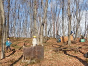 DSCN2367