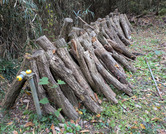 PXL_20251117_231727902