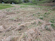PXL_20260410_043100740