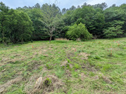 PXL_20260508_023815925
