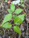 PXL_20260604_023110485