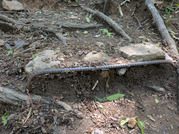 PXL_20260502_013744900